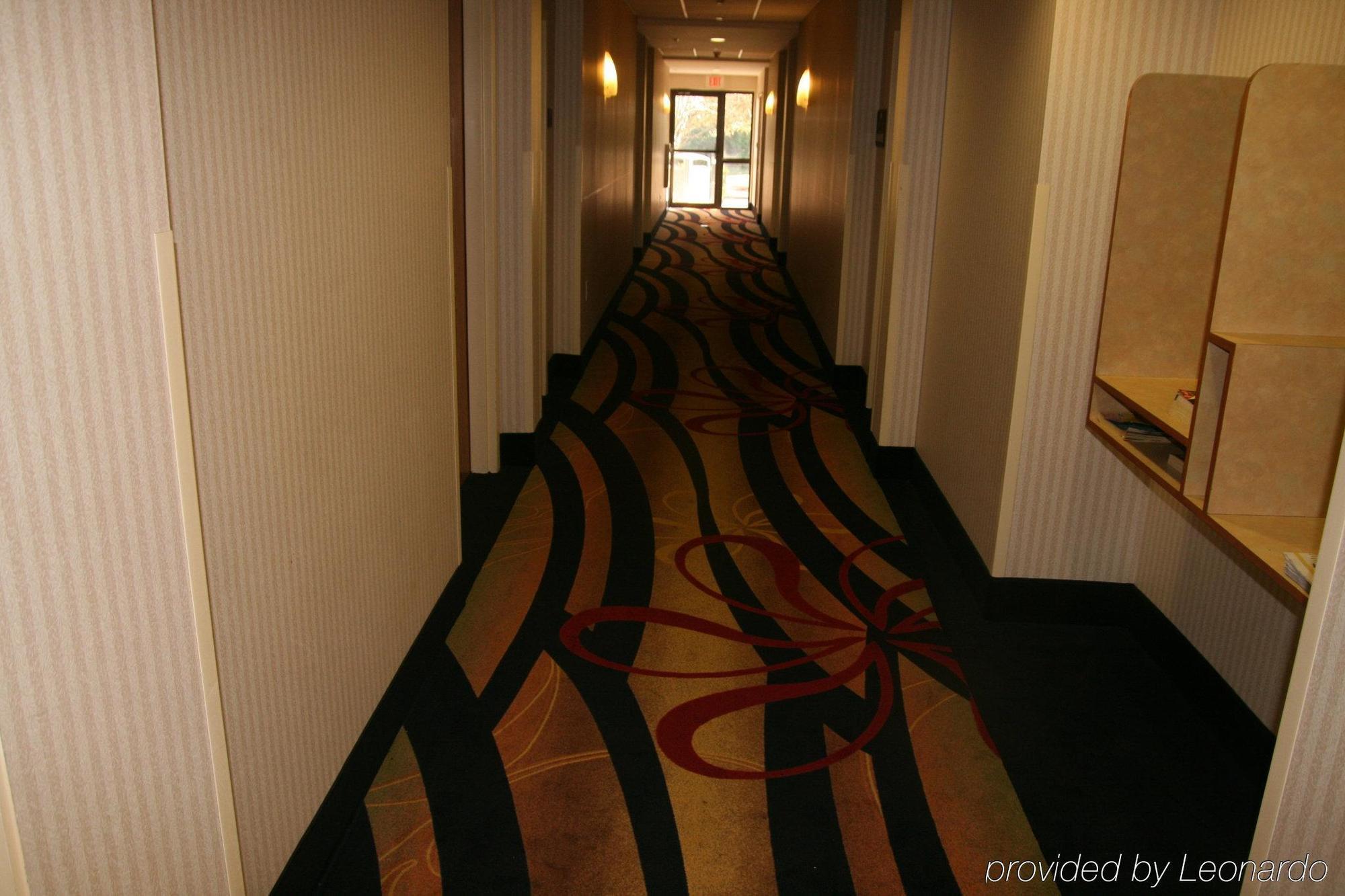 Holiday Inn Express Hotel & Suites Tampa-Anderson Road-Veterans Exp By Ihg West Chase Inreriör bild